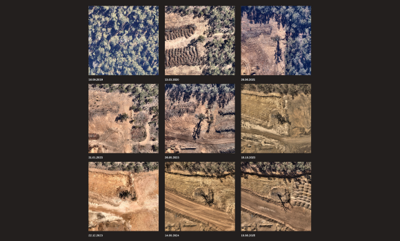 Satellite imagery of the ancient jarrah tree.